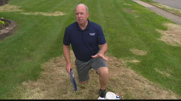 Pat Sullivan on fall seeding problem patches in your lawn