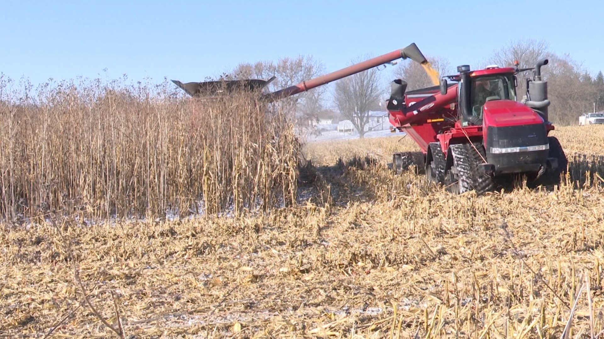 Dozens of farmers brought their big rigs and combine harvesters to Lakeville, Ind. to tend to Jerry  Leininger's corn field.