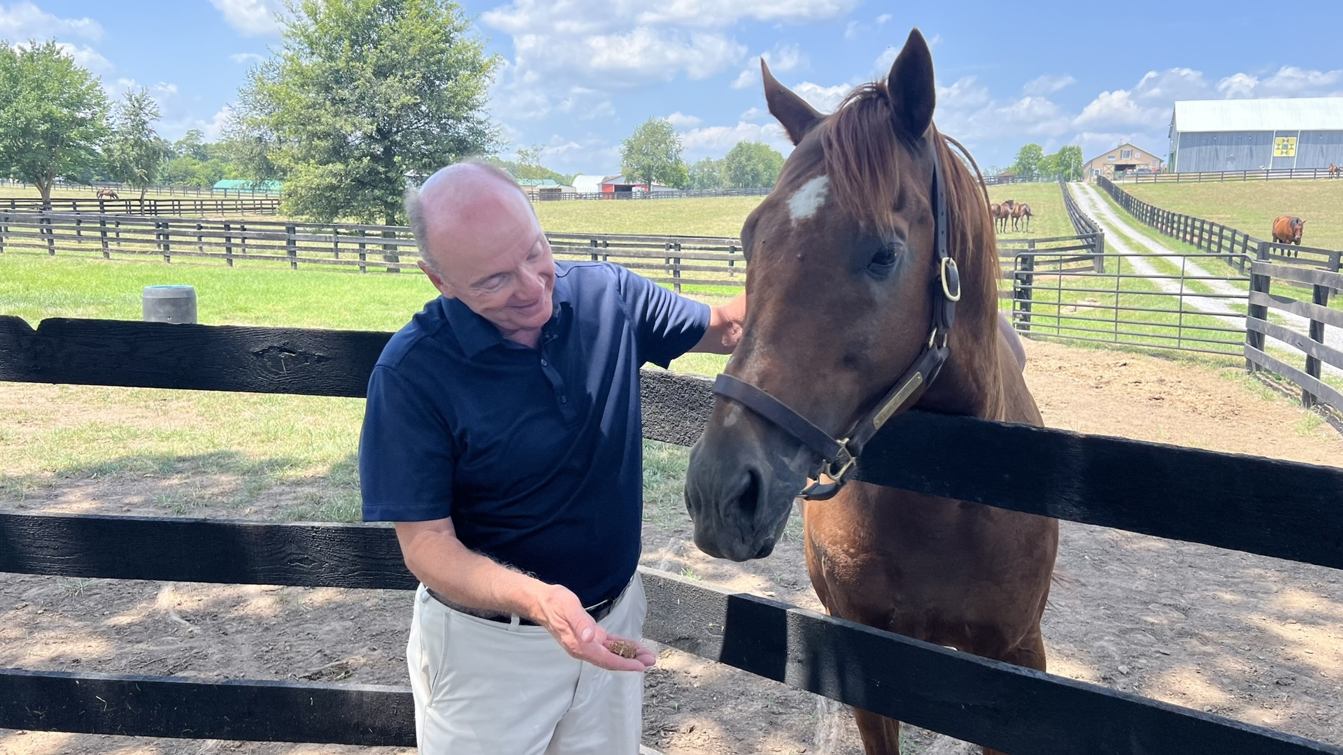 The farm that provides a dignified retirement to thoroughbreds whose racing and breeding careers have ended.