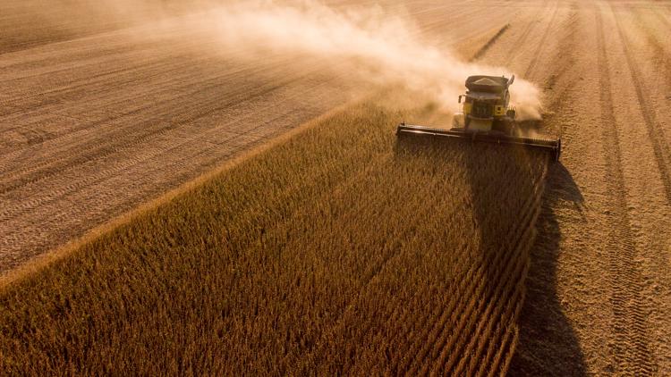How will tariffs impact Indiana?