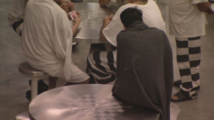 Indiana jails house hundreds of ICE detainees as Trump administration expands deportation operations