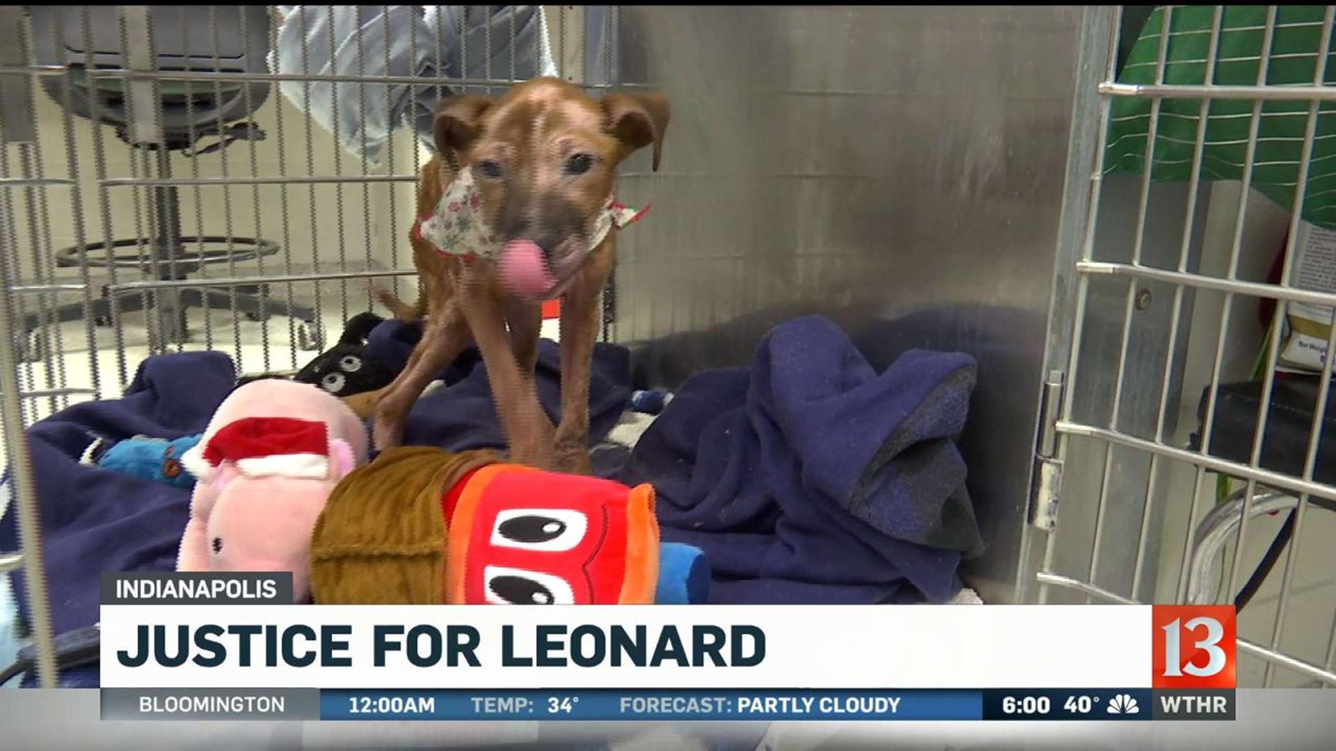 Justice for Leonard