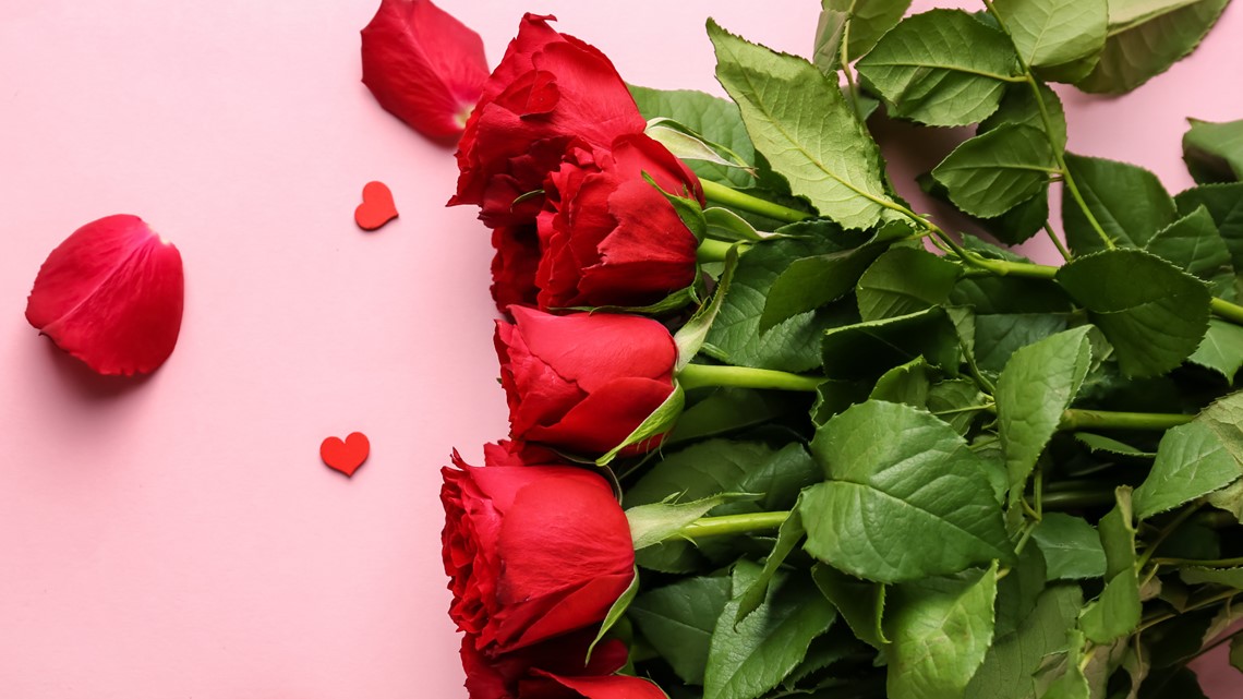 Where to save money on roses for Valentine's Day