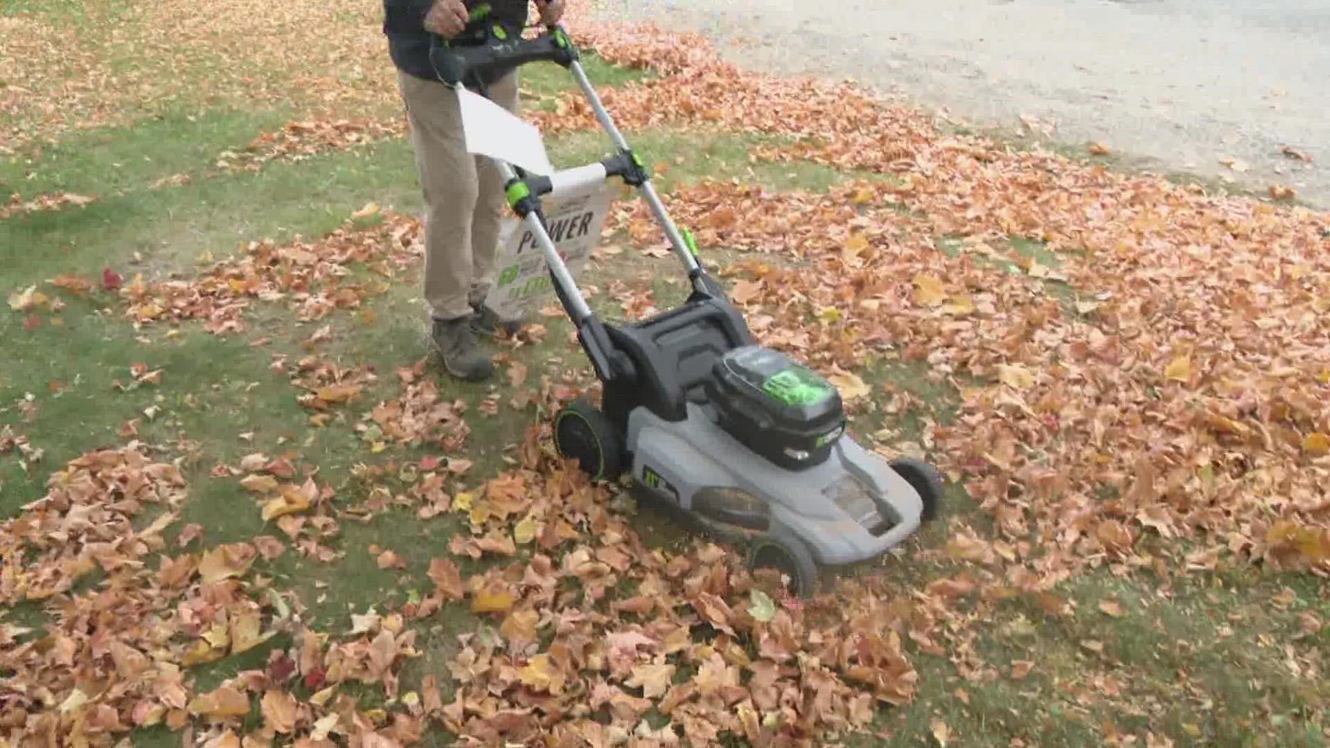 Raking, blowing, bagging or mulching, you should have a plan for this fall's leaves once they hit your yard.