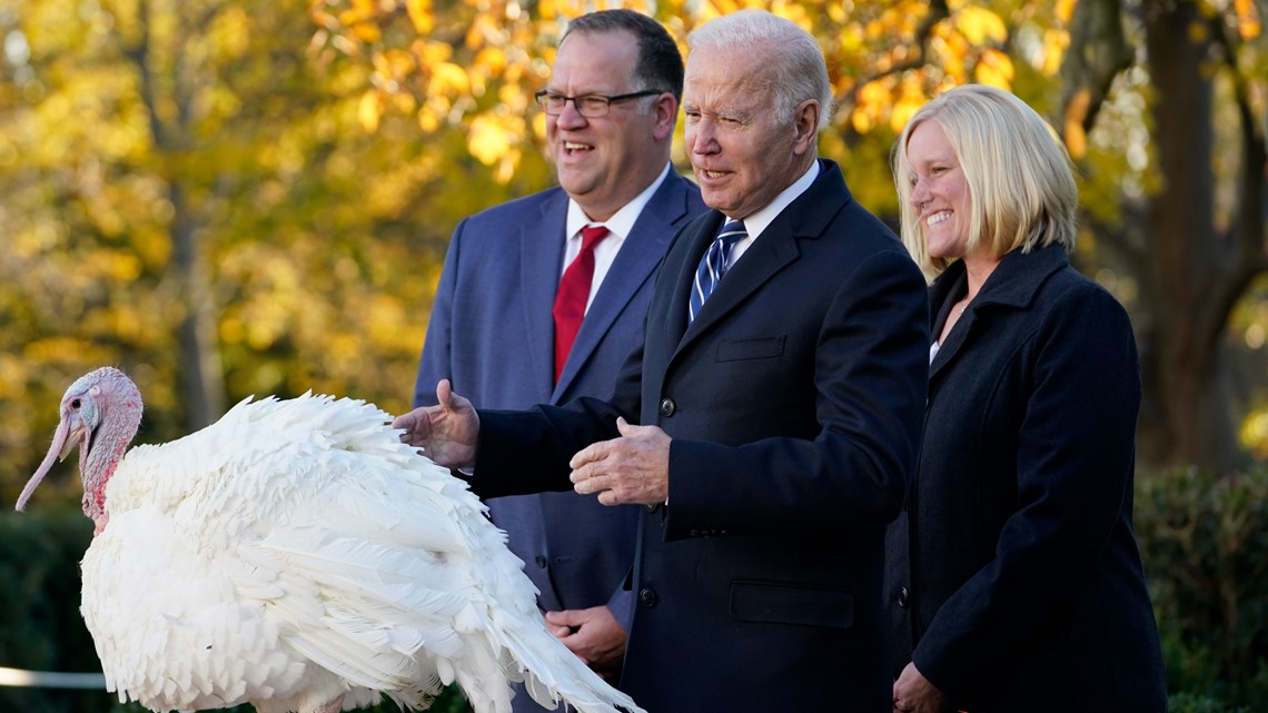 Pardoned Indiana turkeys now at new Purdue home - Vimarsana News
