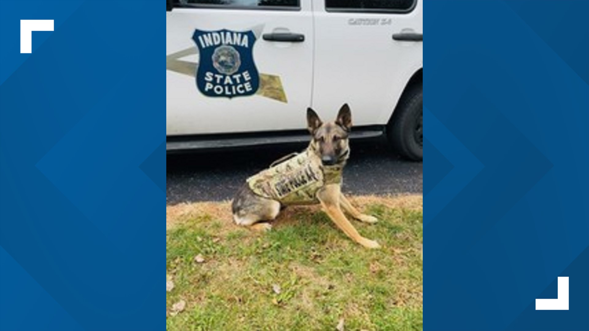 Impd K 9 Receives Body Armor Donation