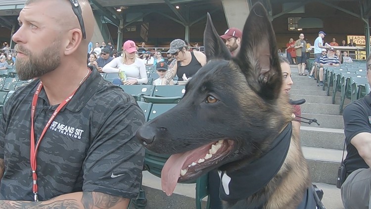 Indianapolis Indians using Eli the Bat Dog for select games