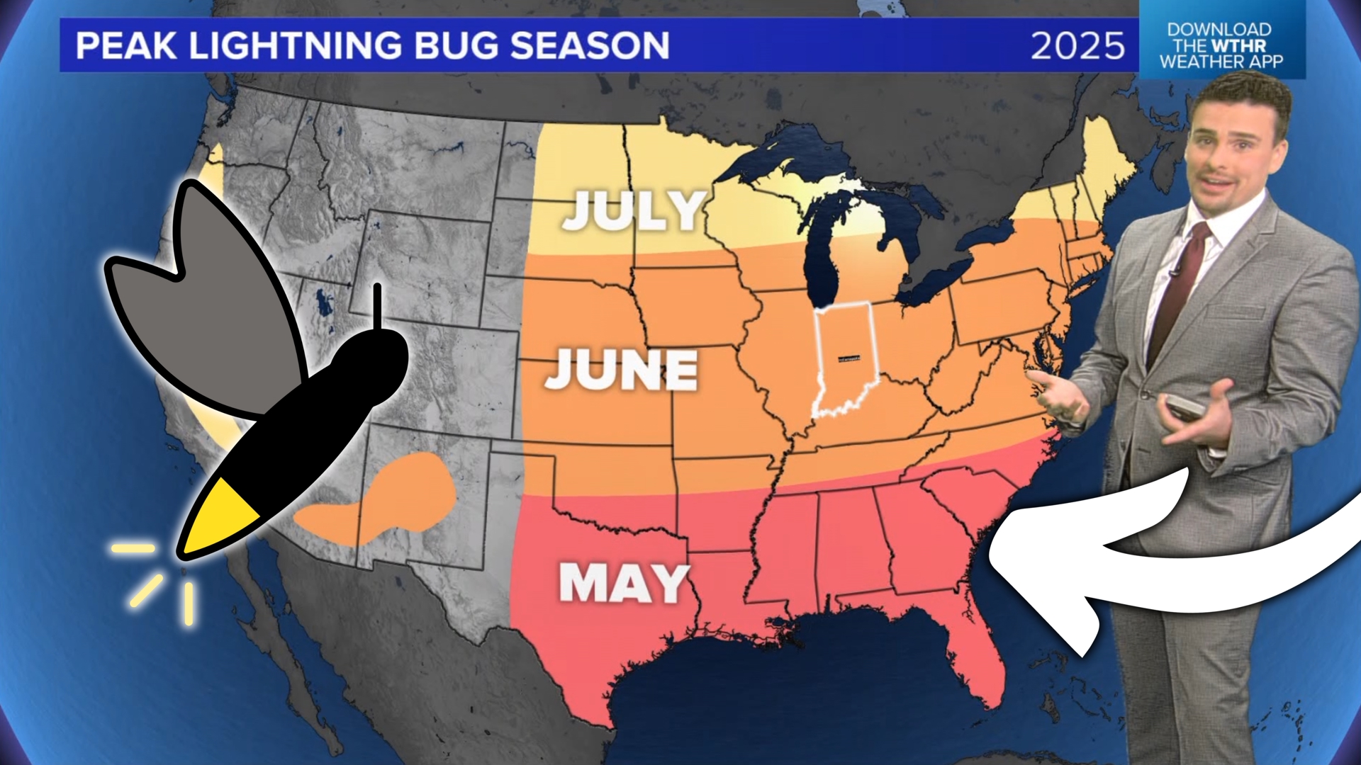 Lightning bug season has begun. There are some simple ways you can increase the chance of seeing lightning bugs in your backyard.