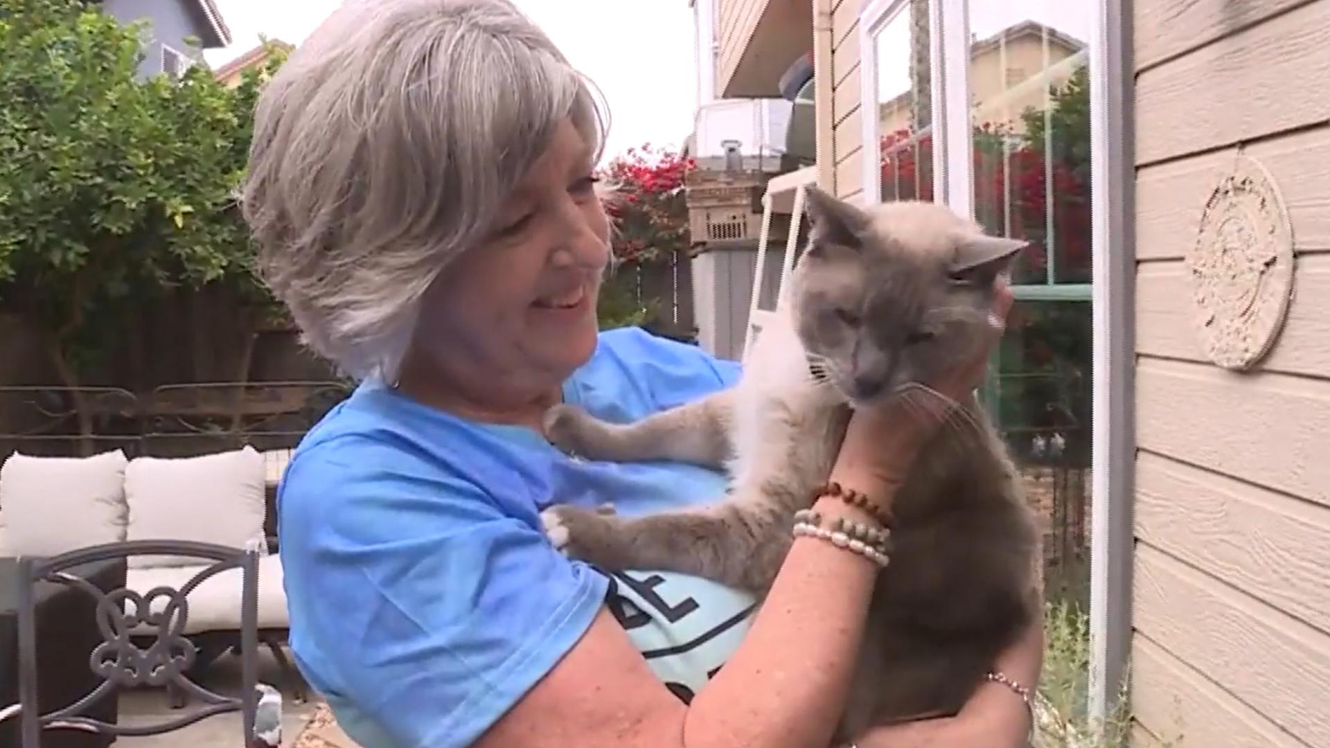 A Salinas couple is reuniting with their beloved house cat after they lost him on a vacation to Yellowstone National Park. That's over a 1,000 miles away. Zoe Hunt r