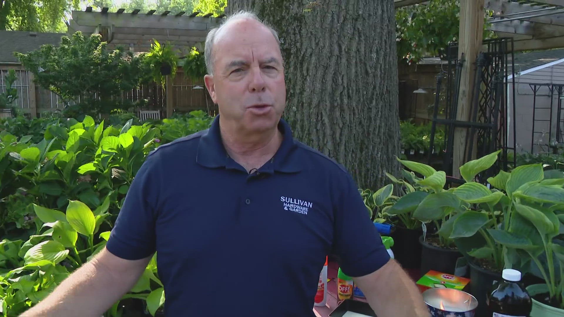 Pat Sullivan shares his tips for dealing with mosquitoes.