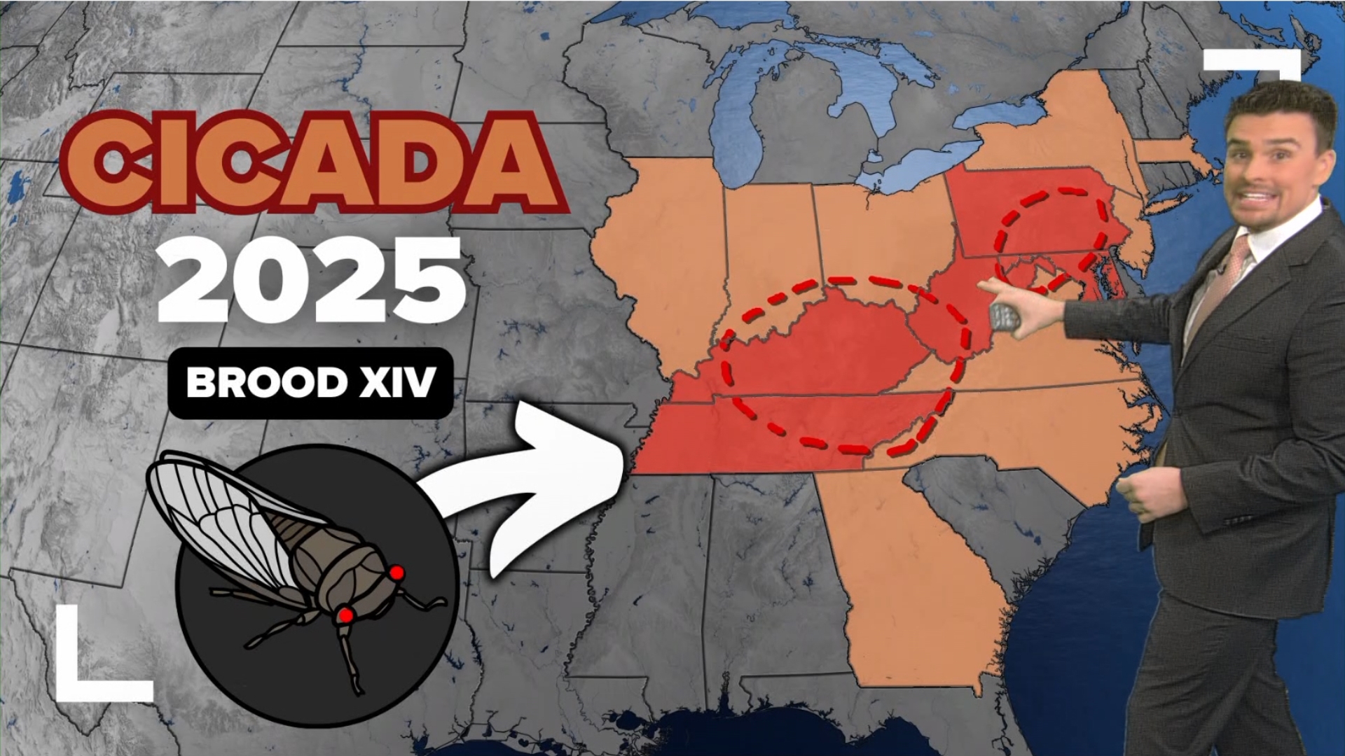 Once the ground warms up, 2025 will bring another brood of Cicadas to parts of the eastern U.S. including Indiana, Kentucky, Tennessee, and Pennsylvania.