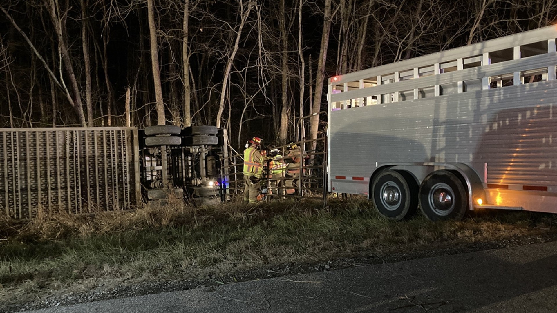 Cattle loose after semi crash on I-64 in Warrick County | wthr.com