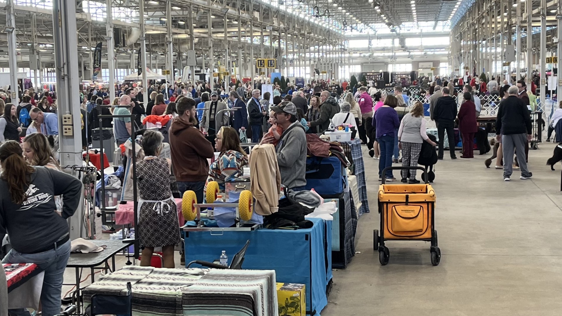 2024 Indy Winter Classic Dog Show Underway Wthr Com   Dd0fb0ff 34c4 48ae A7f6 91e46adc60fd 1920x1080 