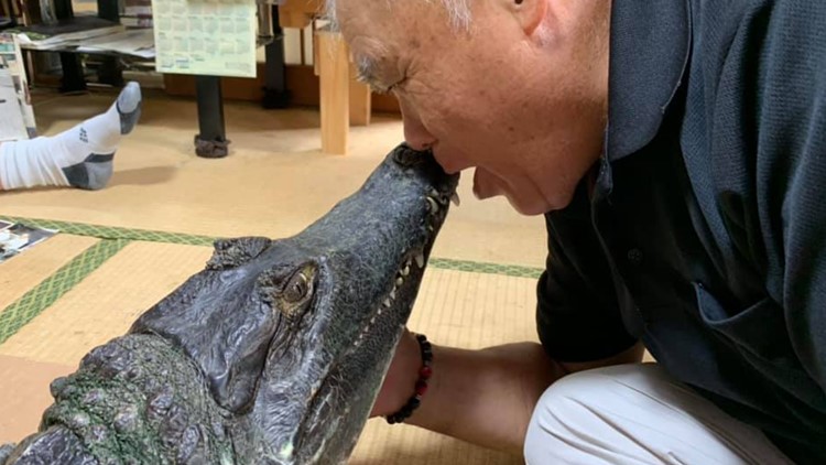 Meet Japan's 'Mr. Gator' and his eight foot alligator Cayman-kun 