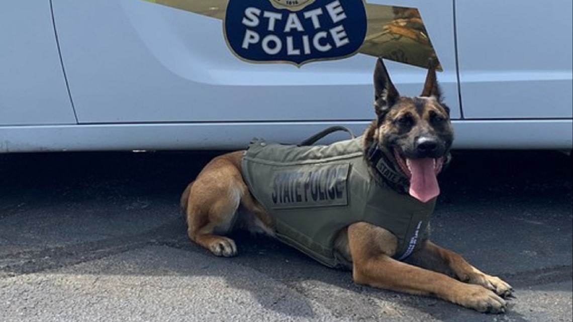 K9 Bruno Receives Vest Donation, News