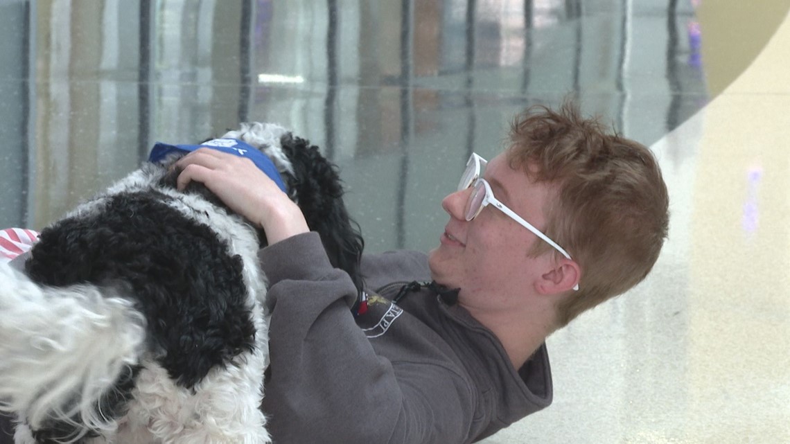 Good boy: Scooter the therapy dog lends an ear to Butler students 