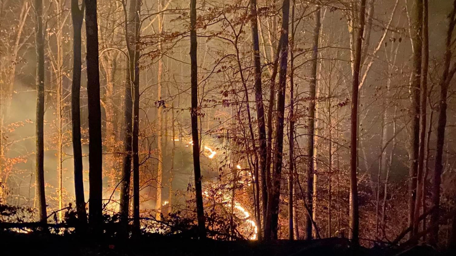 Firefighters battle brush fire at Brown County State Park | wthr.com
