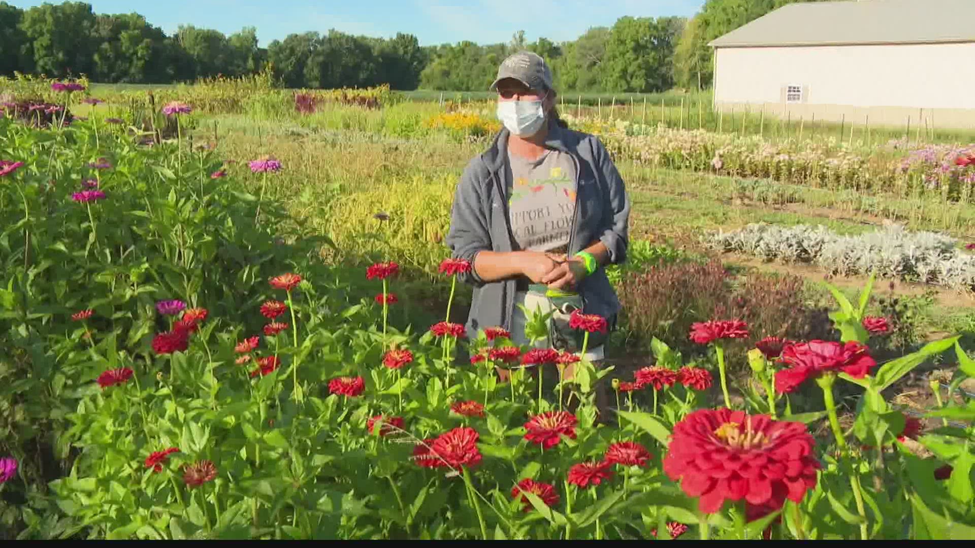 Tracy Lawyer, who spent more than two decades as a nurse at an Indianapolis hospital, decided to pursue her dreams as a flower farmer.