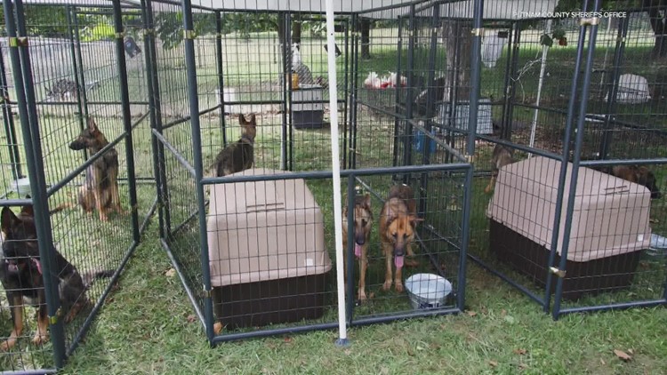 33 dogs seized from Putnam County home
