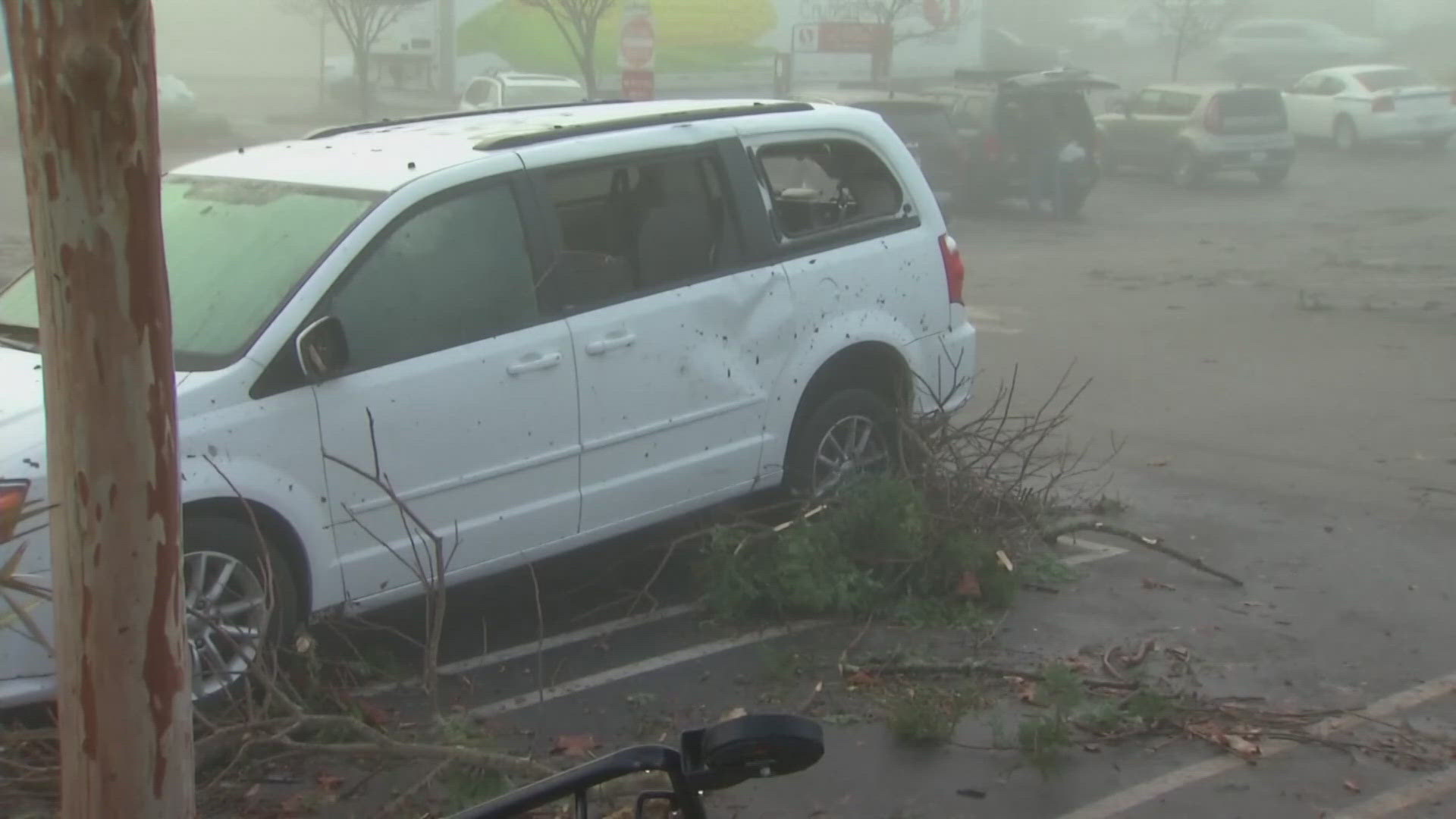 The storm toppled trees, utility poles and even cars.