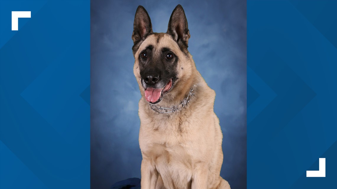 ISP K-9 dies after sudden illness - Vimarsana News