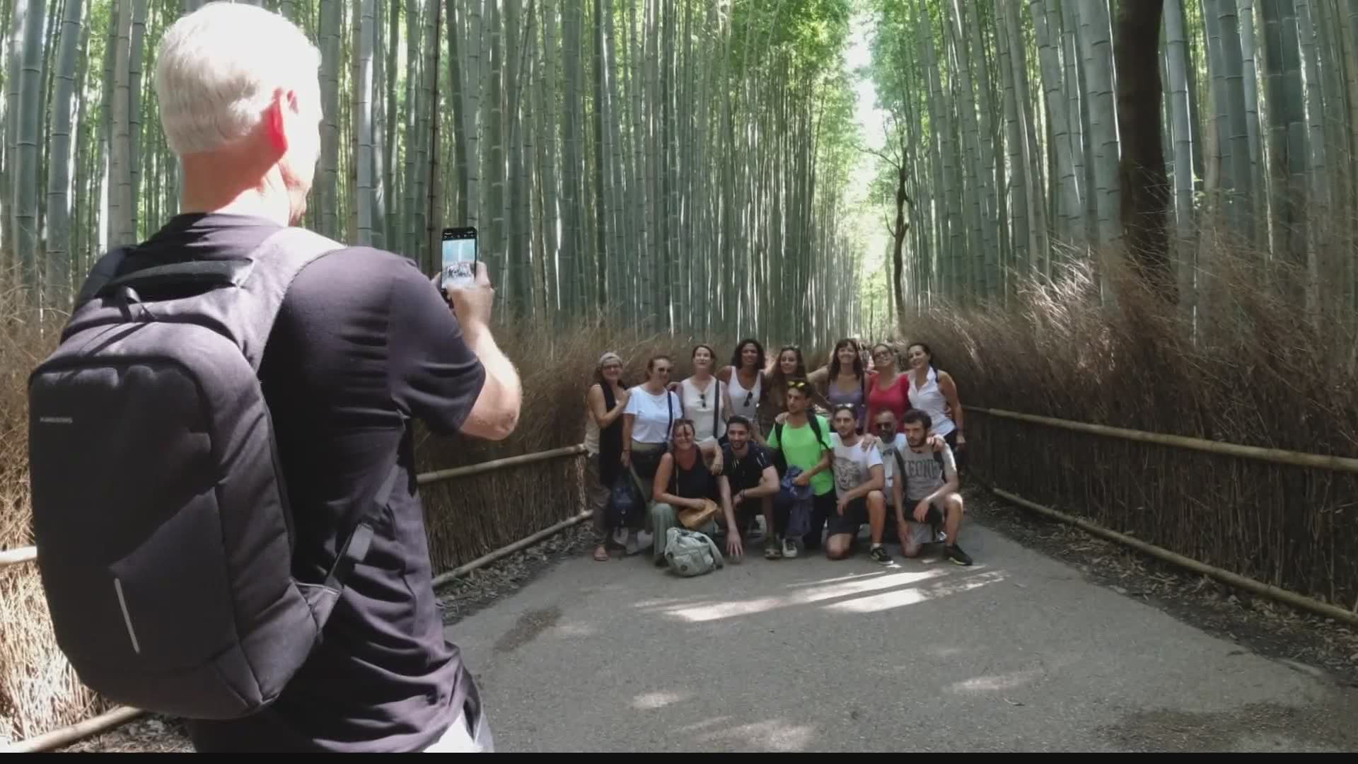 The bamboo trees stretch high into the sky and filter the sunshine to create a perfect backdrop for pictures. It's a very popular place for Instagramers.
