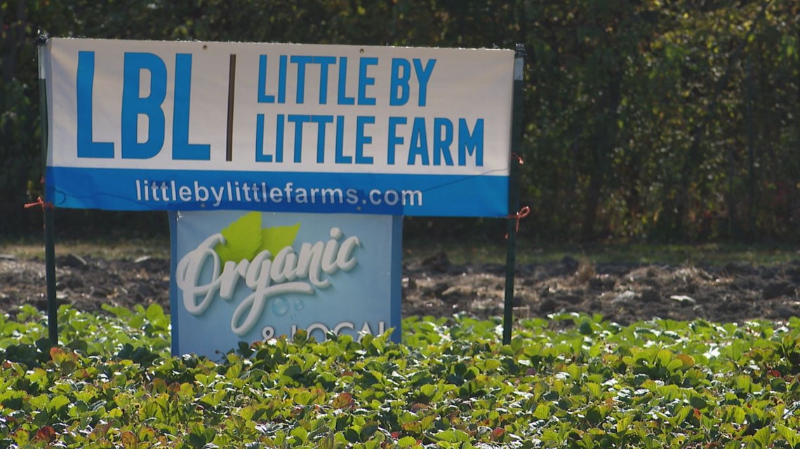 Brownsburg farmer talks extreme temperature fluctuations - Vimarsana News