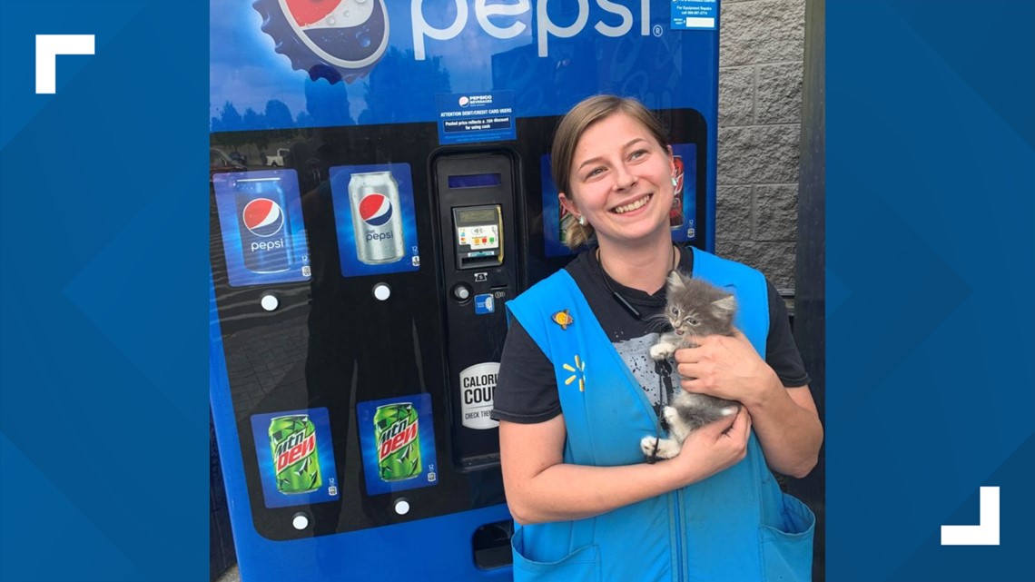 Tennessee Walmart worker rescues kitten from pop machine - Vimarsana News