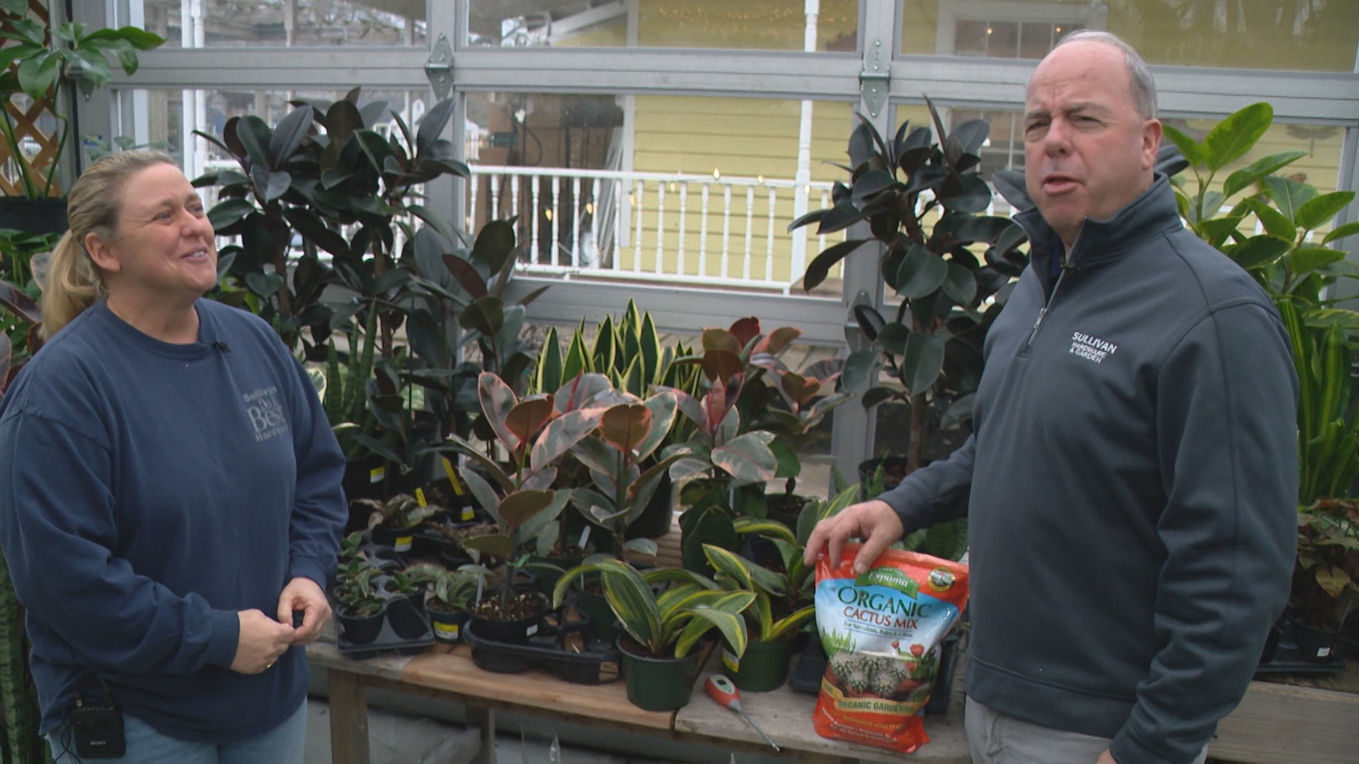 Pat Sullivan has tips on taking care of your indoor house plants and keeping safe with your space heaters!