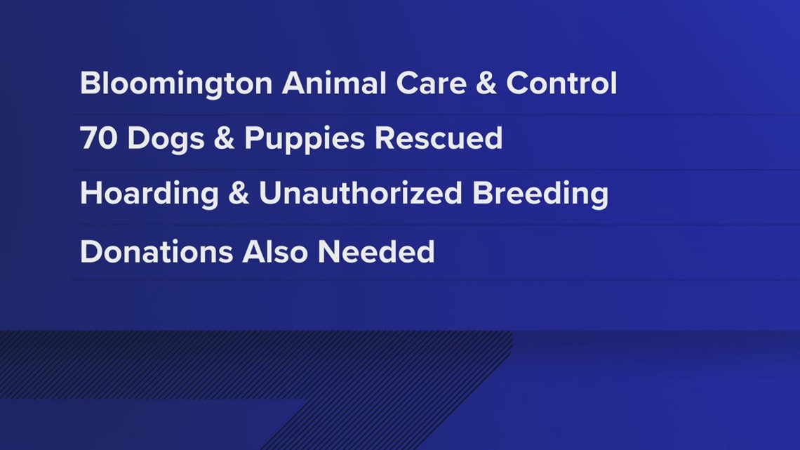 Nearly 70 dogs seized from hoarding operation in Bloomington, fosters and donations needed