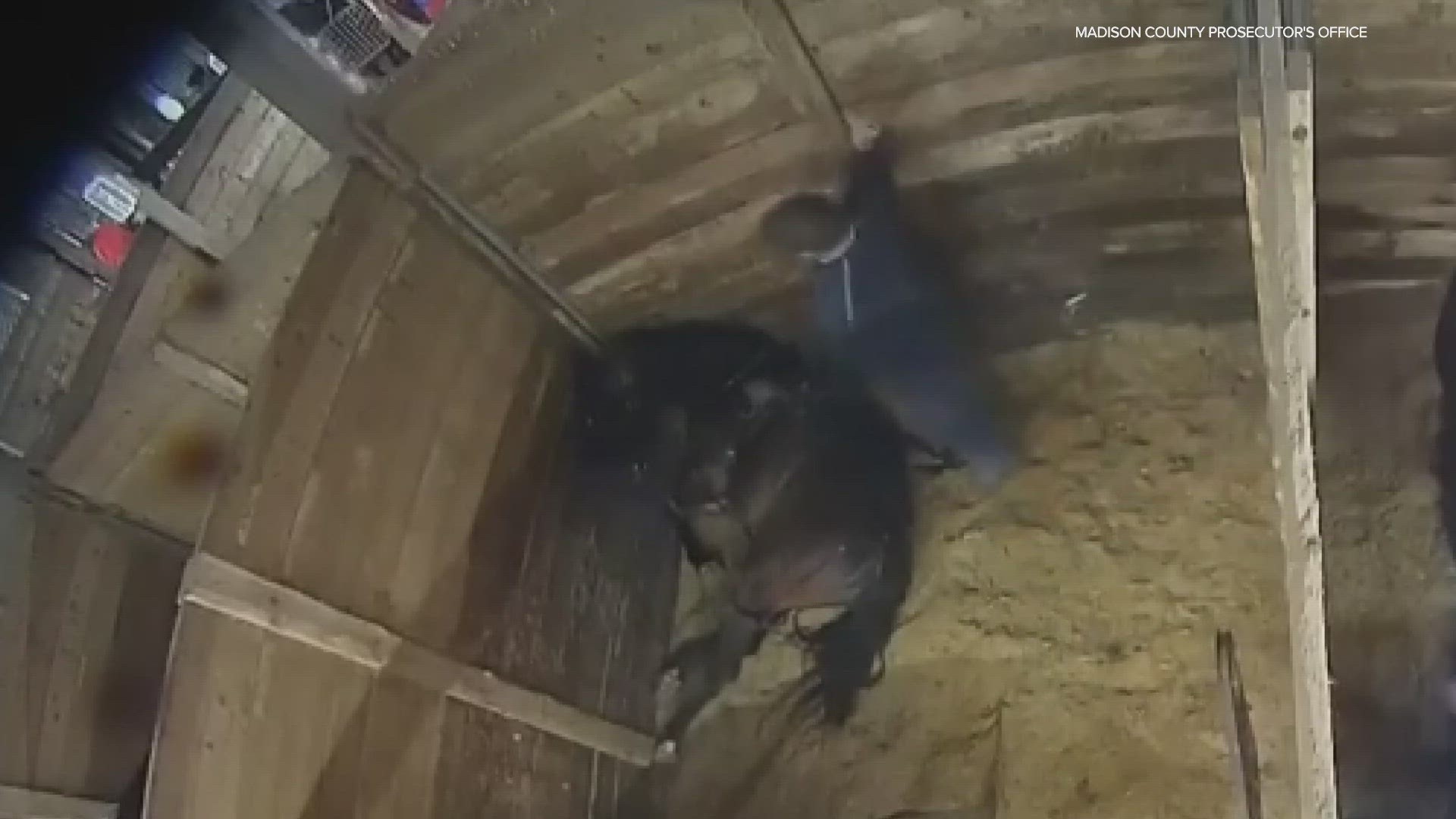 Horse owner charged with animal cruelty after video shows him striking