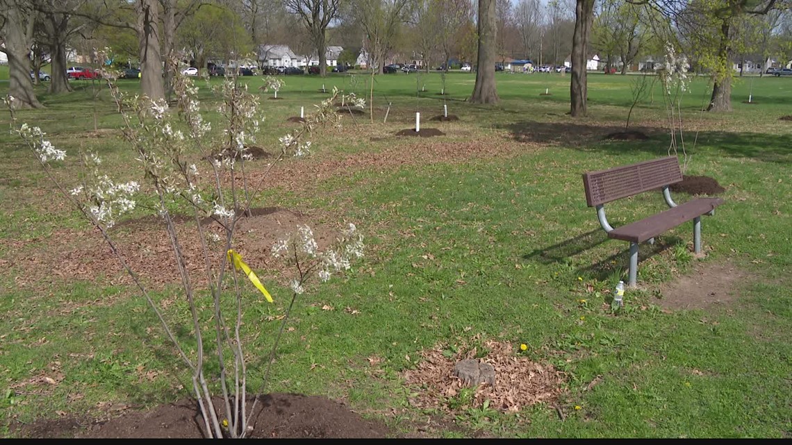 8 trees honoring FedEx shooting victims planted at Indy park