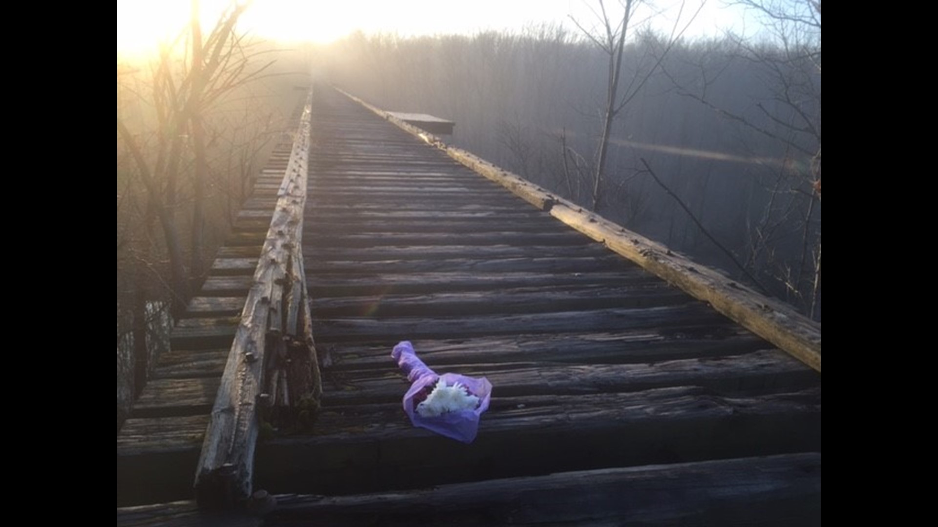 Delphi bridge where Abby Williams and Libby German disappeared to be