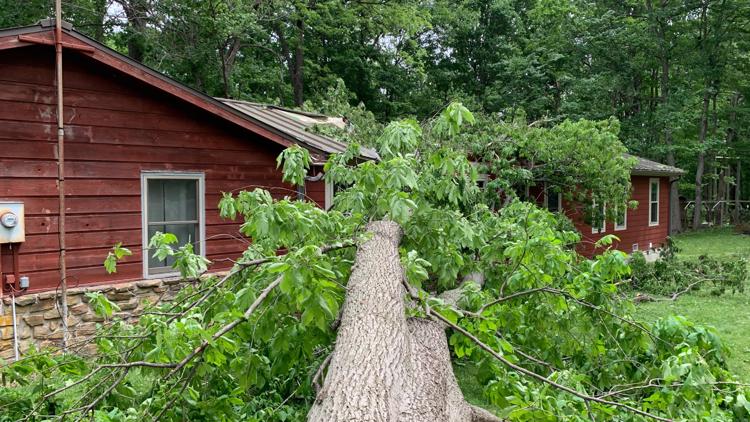 Nineveh teen survives getting trapped by fallen tree in her living room