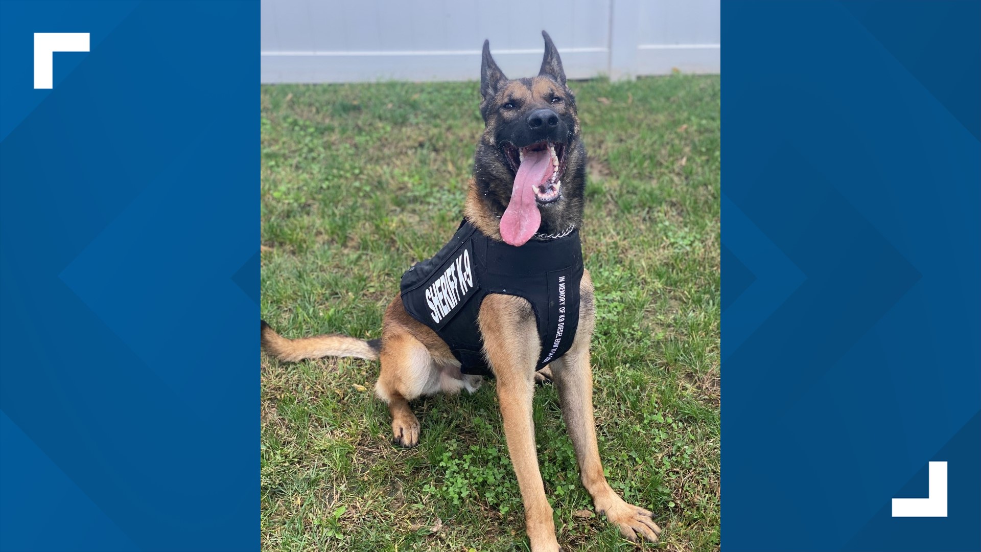 The vest pays homage to another Bartholomew County K-9 who died in the line of duty in 2020.