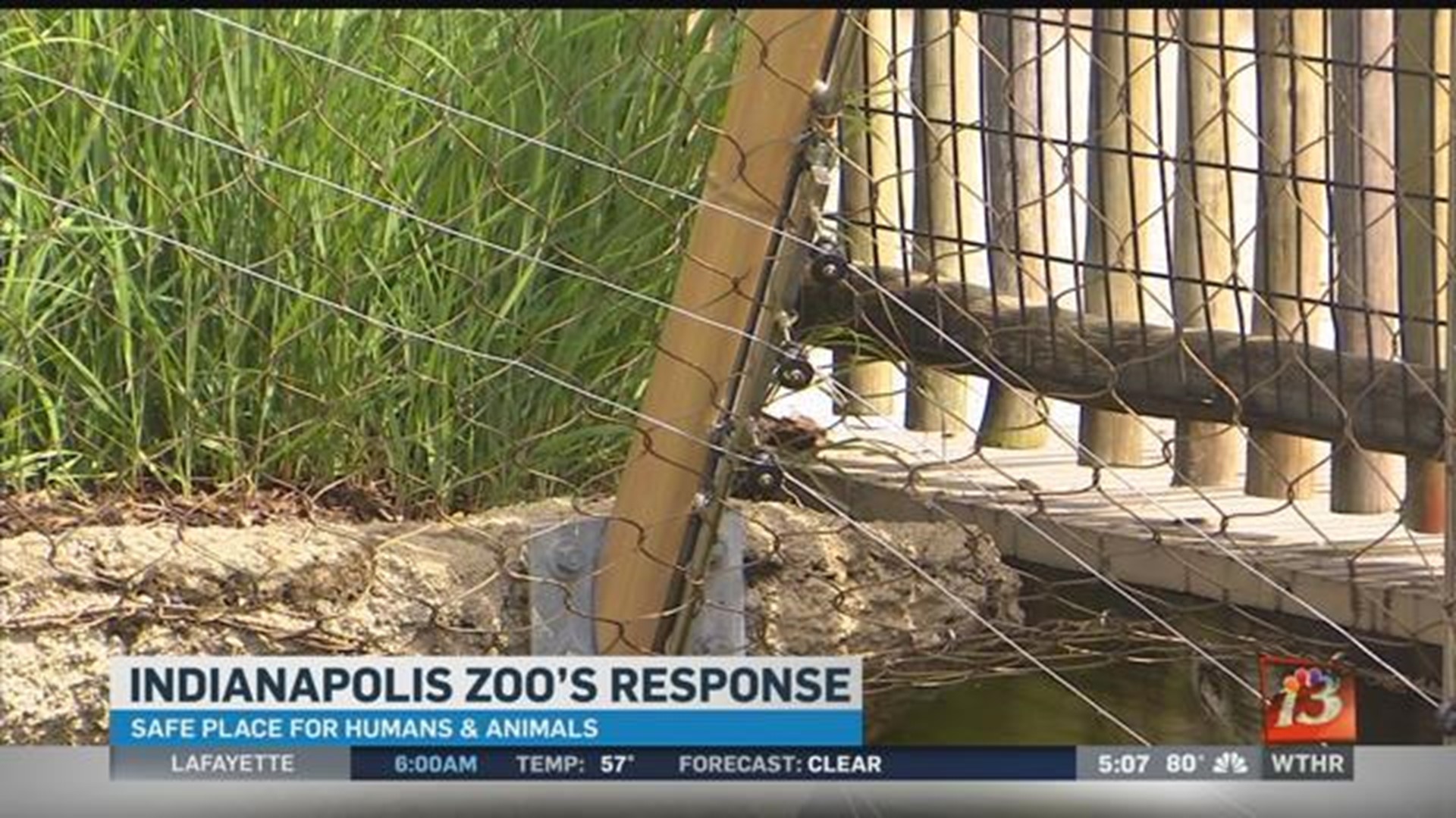 Indianapolis Zoo's response to gorilla