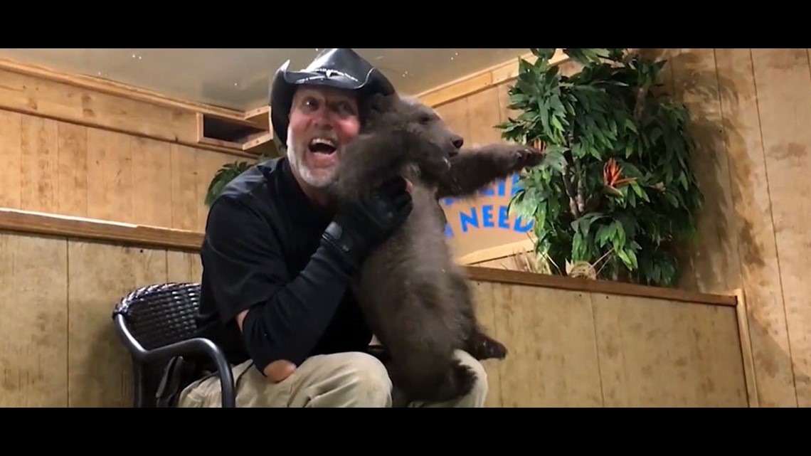 Charlestown zoo defends attack from PETA over bear cub video