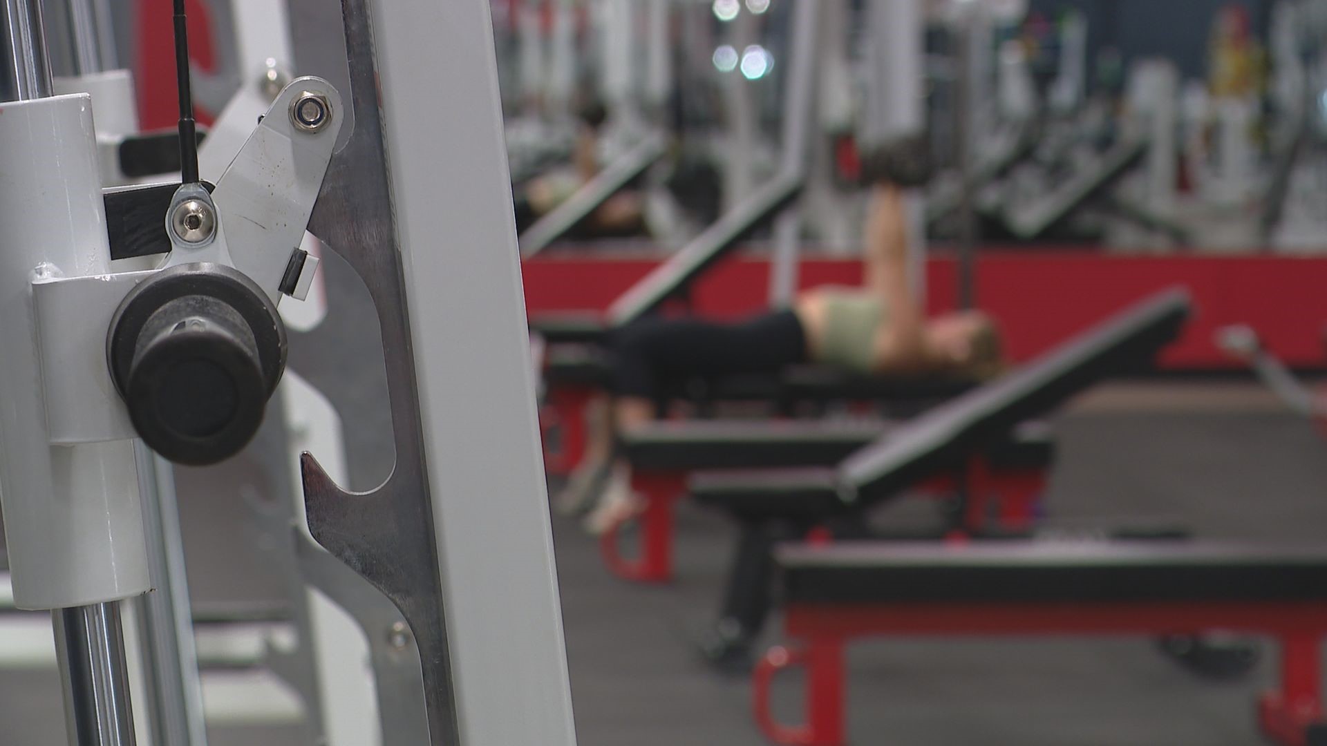 A professional bodybuilder opened a 24-hour gym that houses weights and other equipment you can't find in other fitness centers.