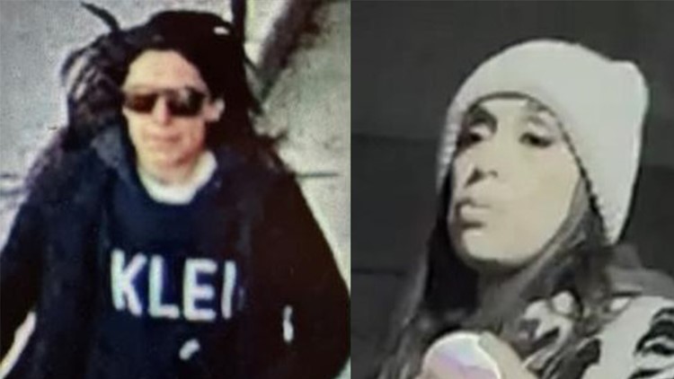 Woman pleading guilty to attacking 72-year-old woman and vandalizing 47 cars in Indianapolis