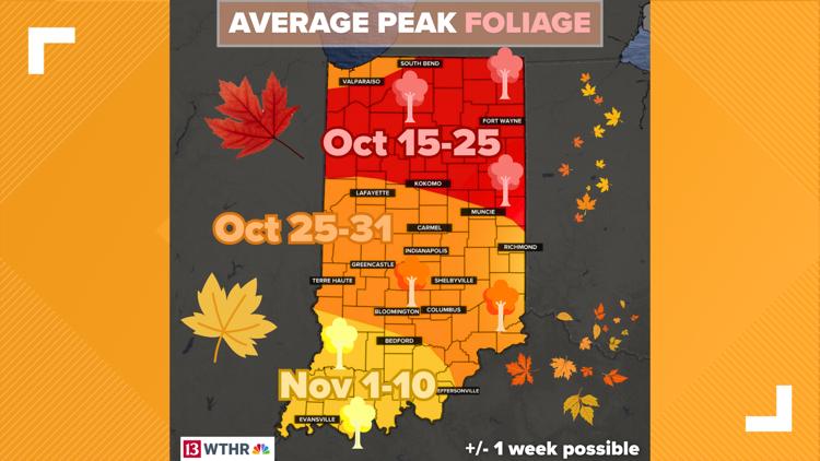 Indiana fall foliage peak: When leaves change color on average | wthr.com