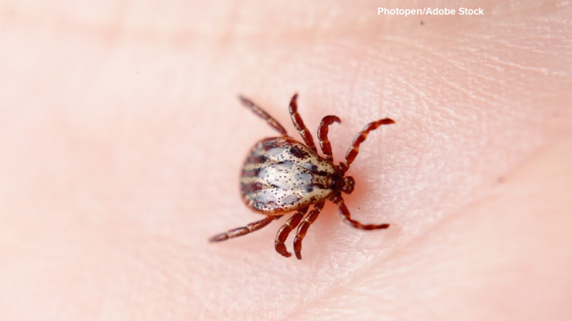 Indiana health officials issue tick reminder