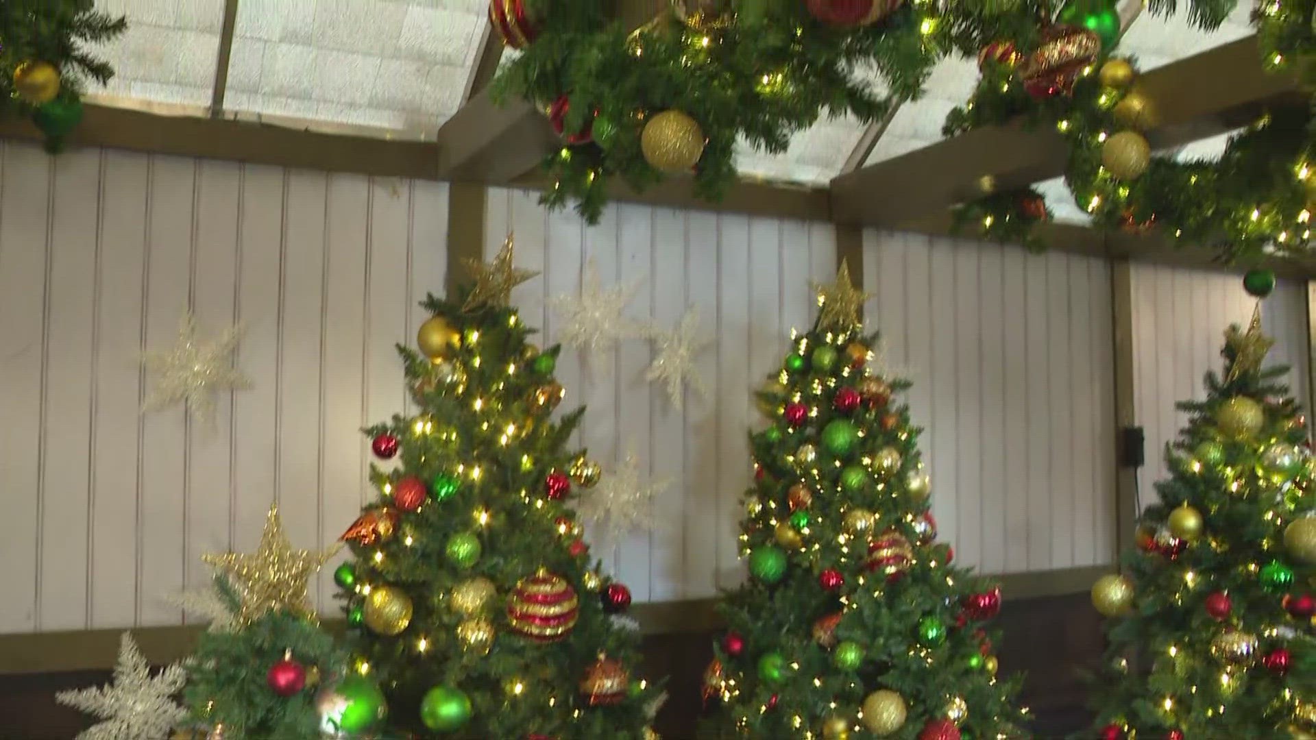 Since 1967, Christmas at the Zoo has been a holiday favorite for Hoosiers across the city.