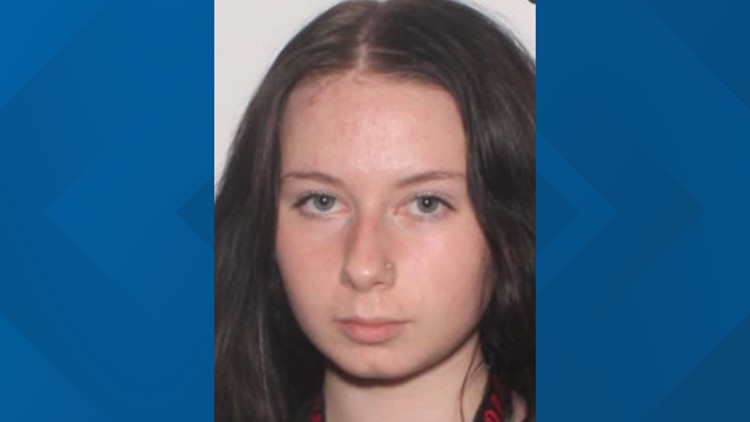 Silver Alert canceled for teen missing from LaPorte County