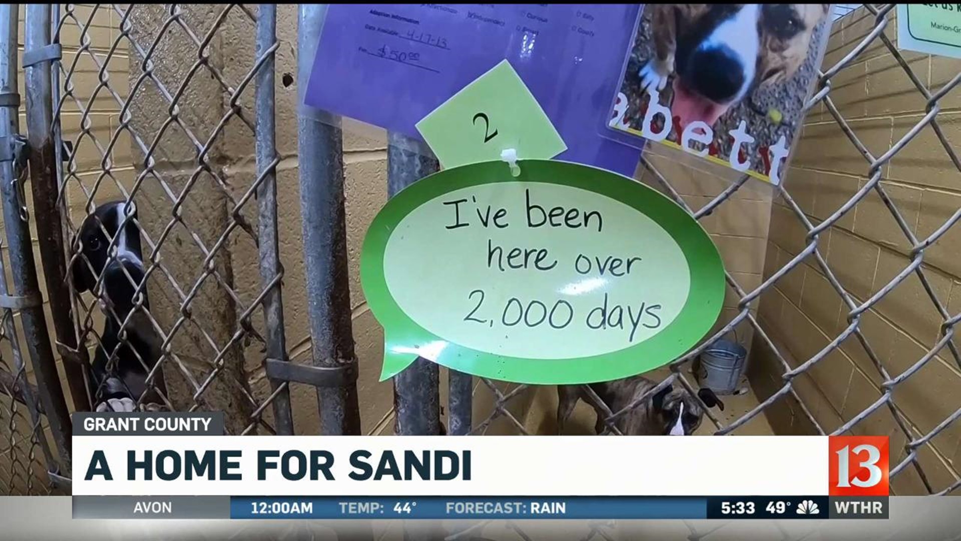 A home for Sandi