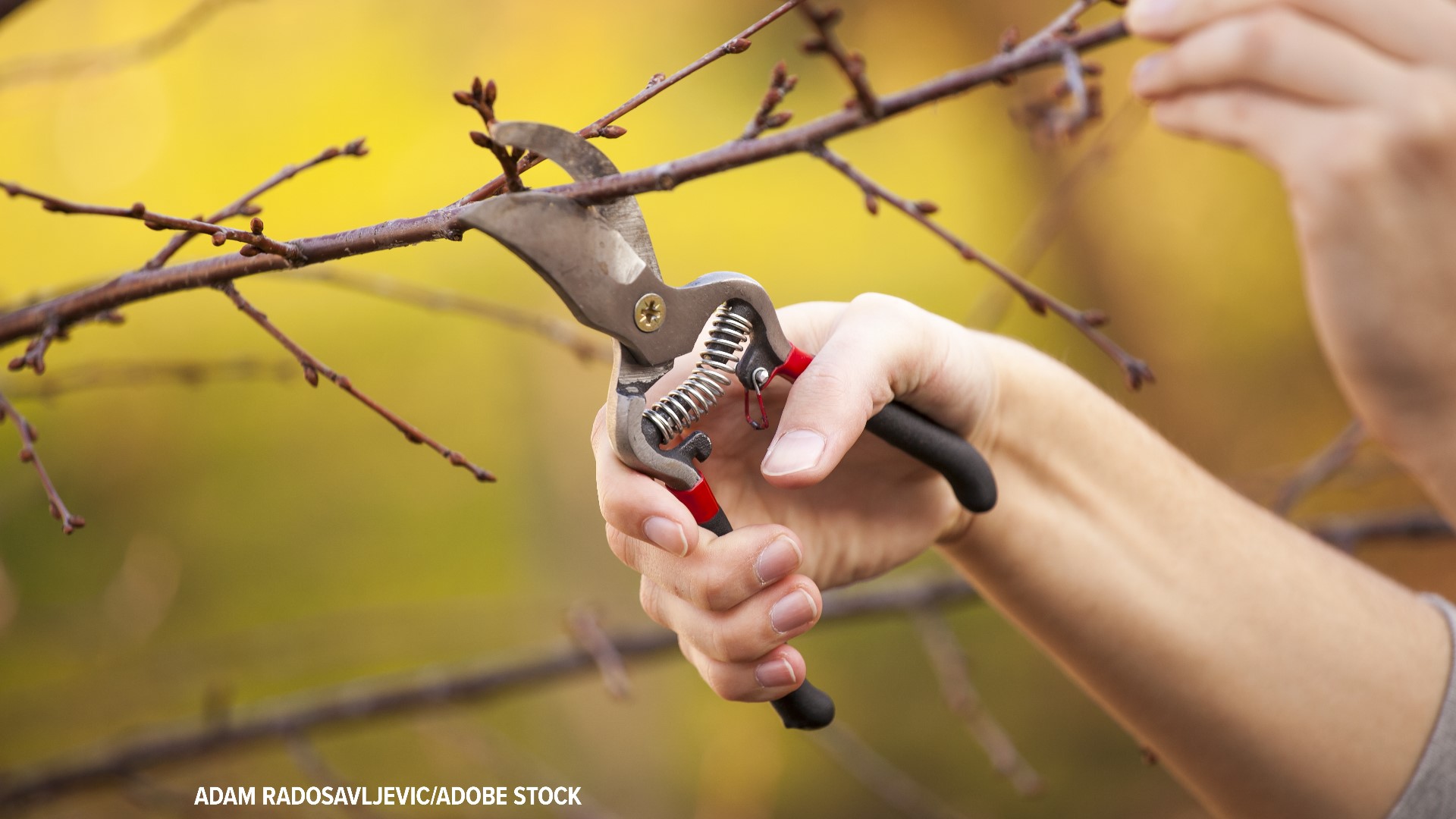 Cold weather has been hampering some spring landscape projects, but Pat Sullivan said you can get out the pruners and fertilize now.