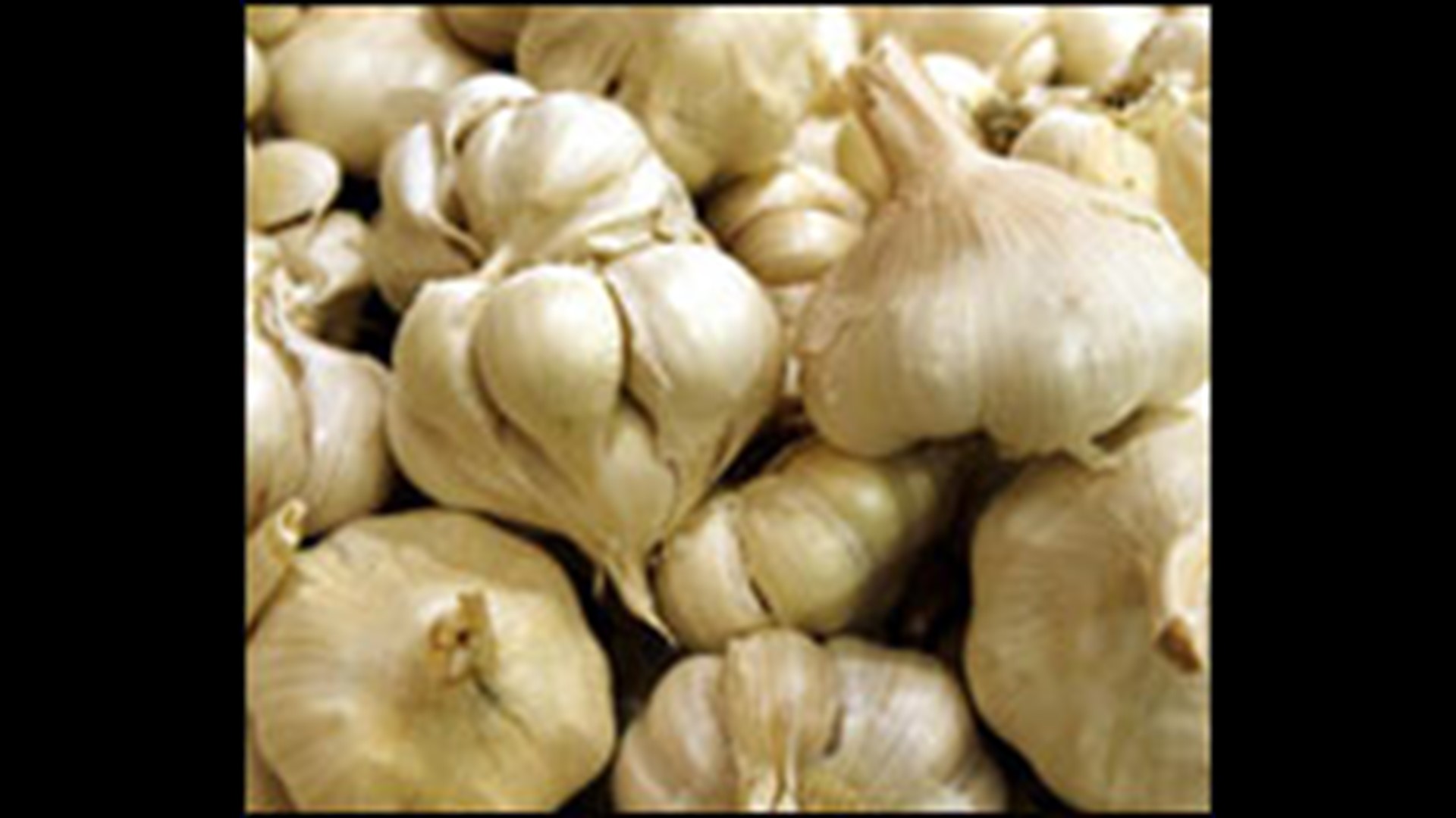 Study Garlic won't lower cholesterol