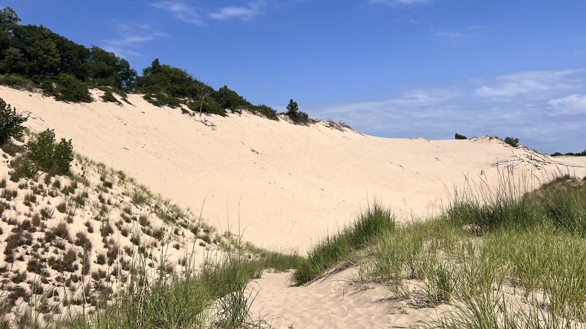 Sandboarding at Warren Dunes in southwest Michigan