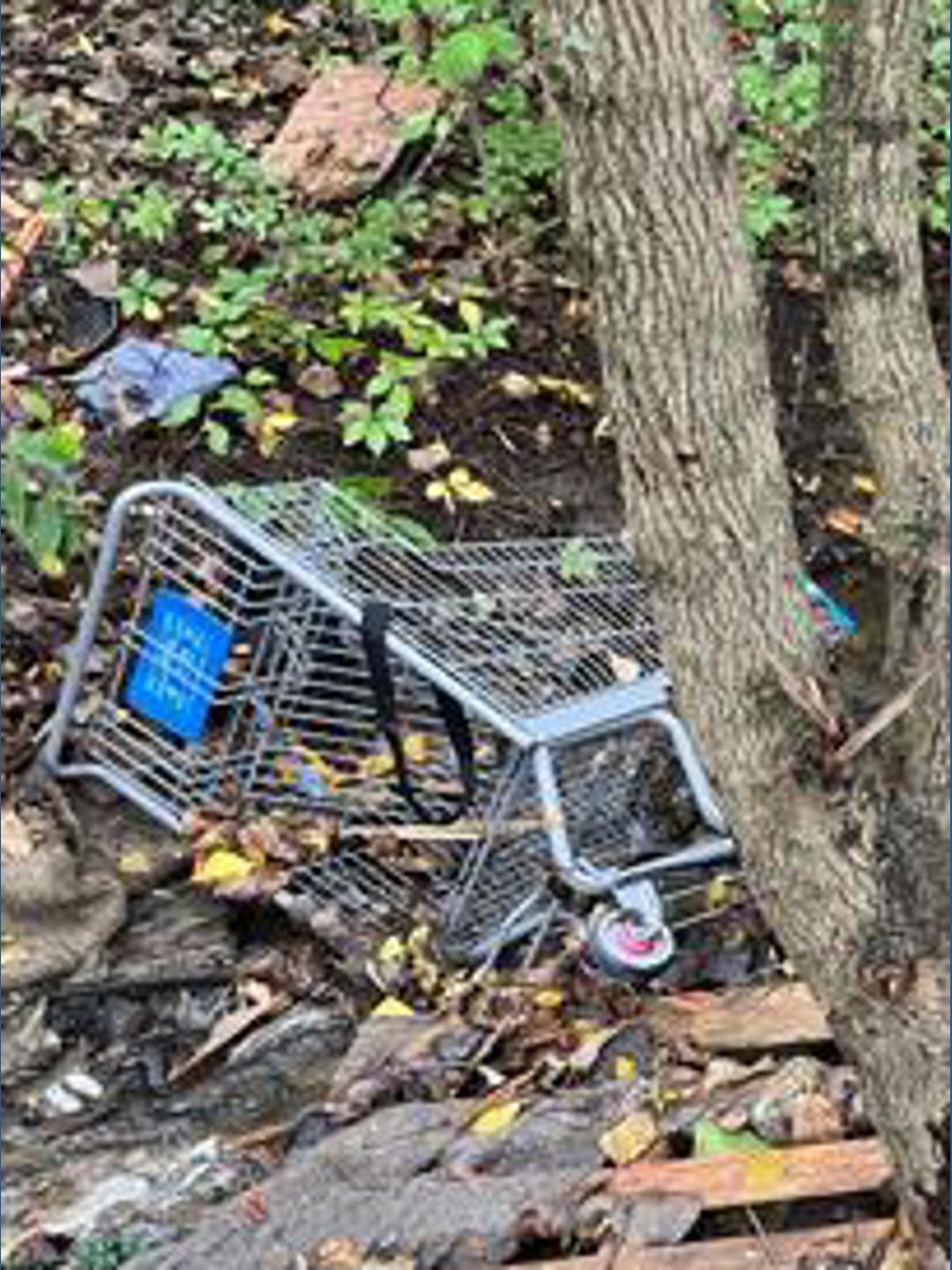 Walmart Homeless Renewed concerns about homeless encampment behind Walmart in ...