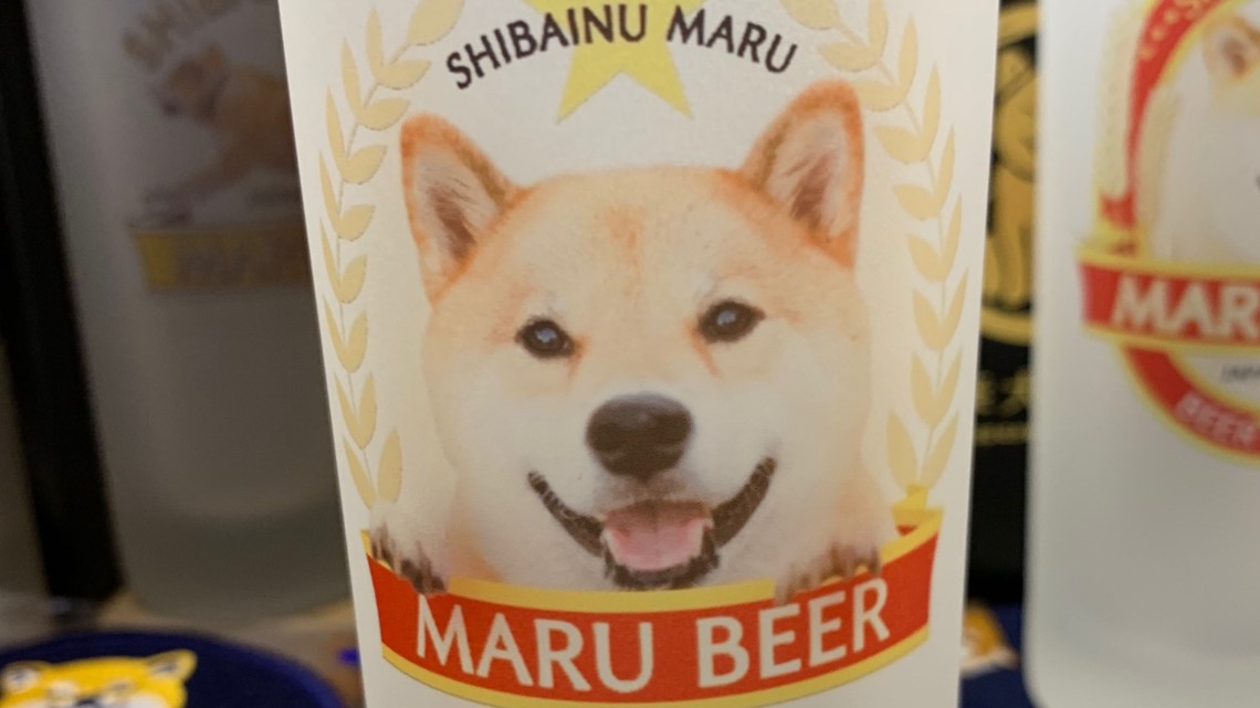 Maru store the dog