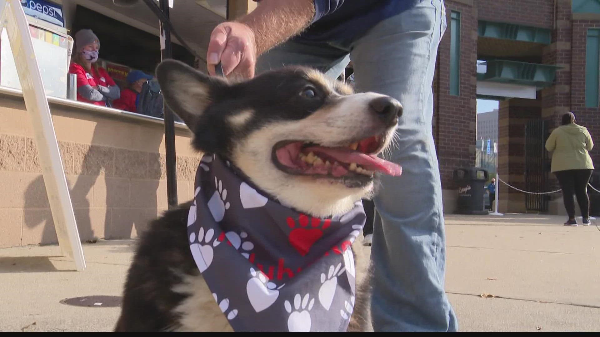 More than 1,000 people and their pups attended the 18th annual event held at Victory Field on Saturday.
